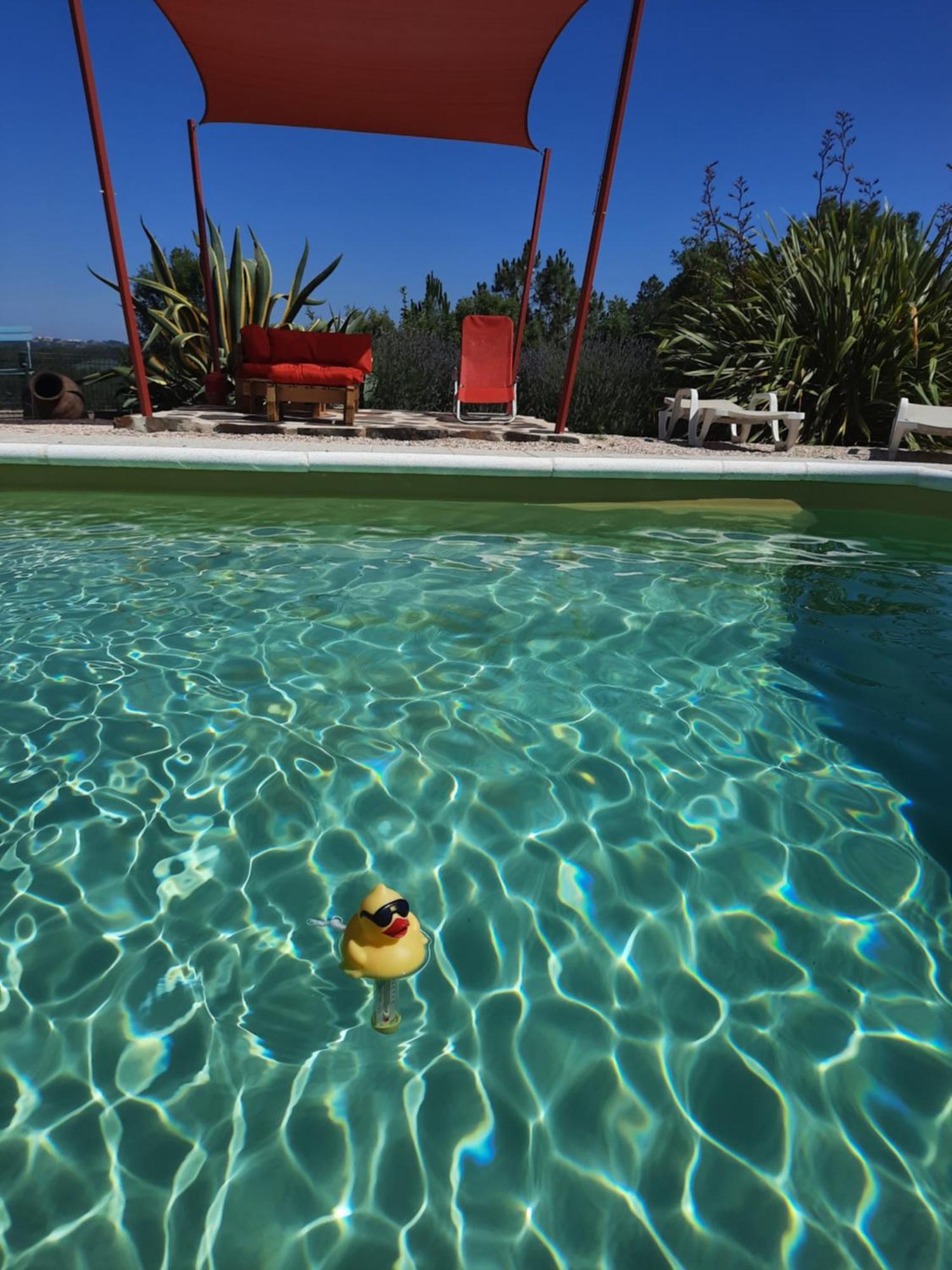 Quinta Quatro Ventos Bed & Breakfast Serta Bagian luar foto